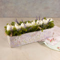 Brush and Bloom - Sculpted