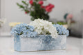 Hydrangea Bloom