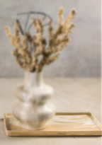 Modern Decor Tray