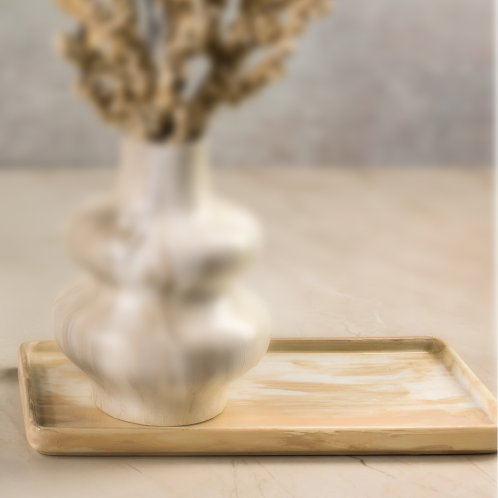 Modern Decor Tray